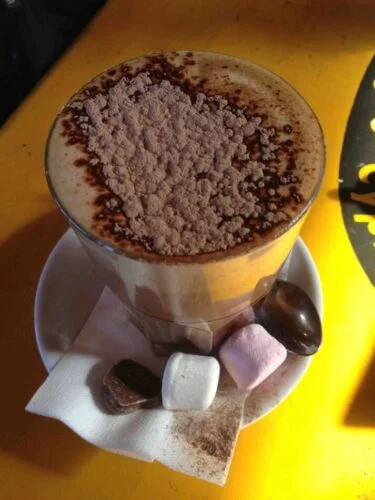 Mocaccino -Zero açúcar