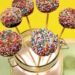 Cake pops - Zero açúcar