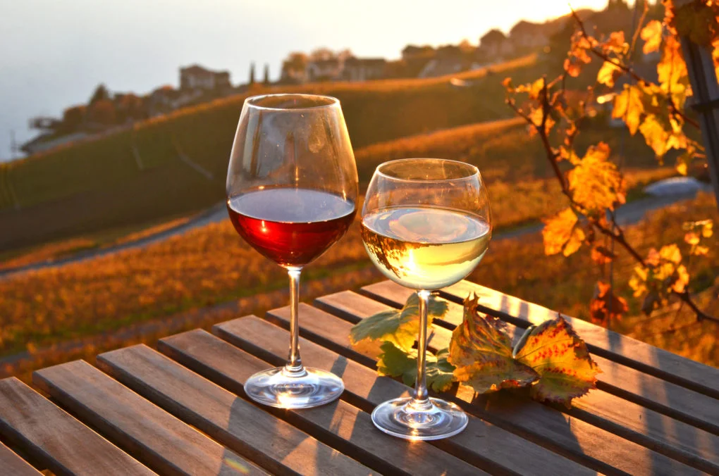 vinhos
