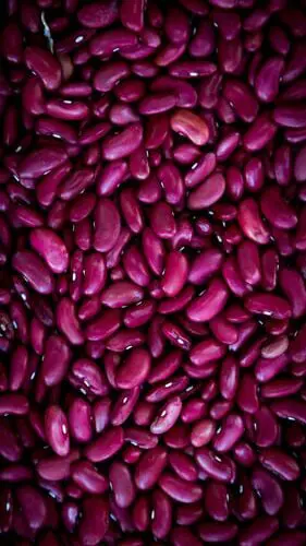 Vitaminas e minerais para melhorar o sistema imunológico 20 feijão