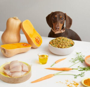 Receitas de petiscos naturais para o seu Pet