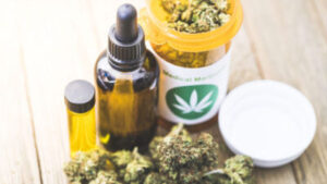 Mitos e verdades sobre Cannabis e o seu potencial terapêutico