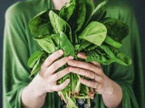 Vitamina K: A importância desse nutriente para o seu corpo