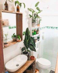 4 plantas de casa que absorvem a umidade do seu banheiro e ficam lindas