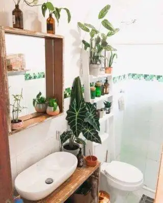 4 plantas de casa que absorvem a umidade do seu banheiro e ficam lindas
