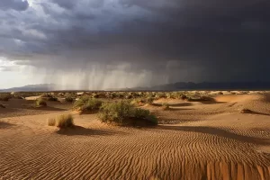 A Importância da Chuva no Deserto do Saara