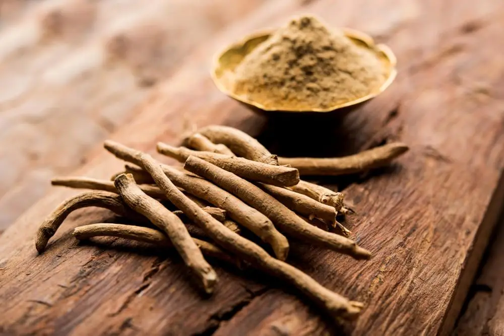 Ashwagandha: O suplemento que estimula o cérebro e reduz o stress