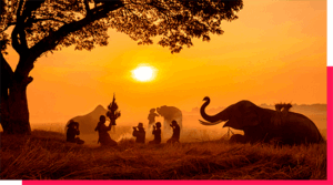 Antes de conquistar o mundo, os humanos venceram os maiores desafios da África
