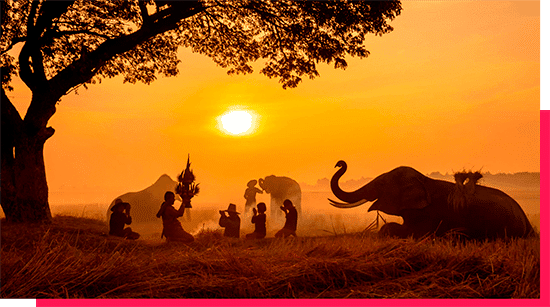 Antes de conquistar o mundo, os humanos venceram os maiores desafios da África 18 humanos conquistar mundo África