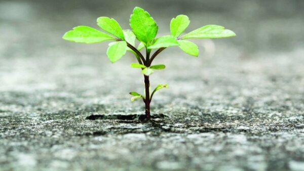 Você Não Precisa Estar Sempre Forte