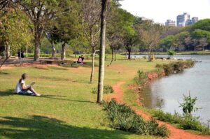 A Espiritualidade na Cidade: Como os Espaços Verdes Podem Curar Corpo, Mente e Alma