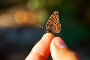 Curar não é brilhar — é se permitir desabar sem se perder
