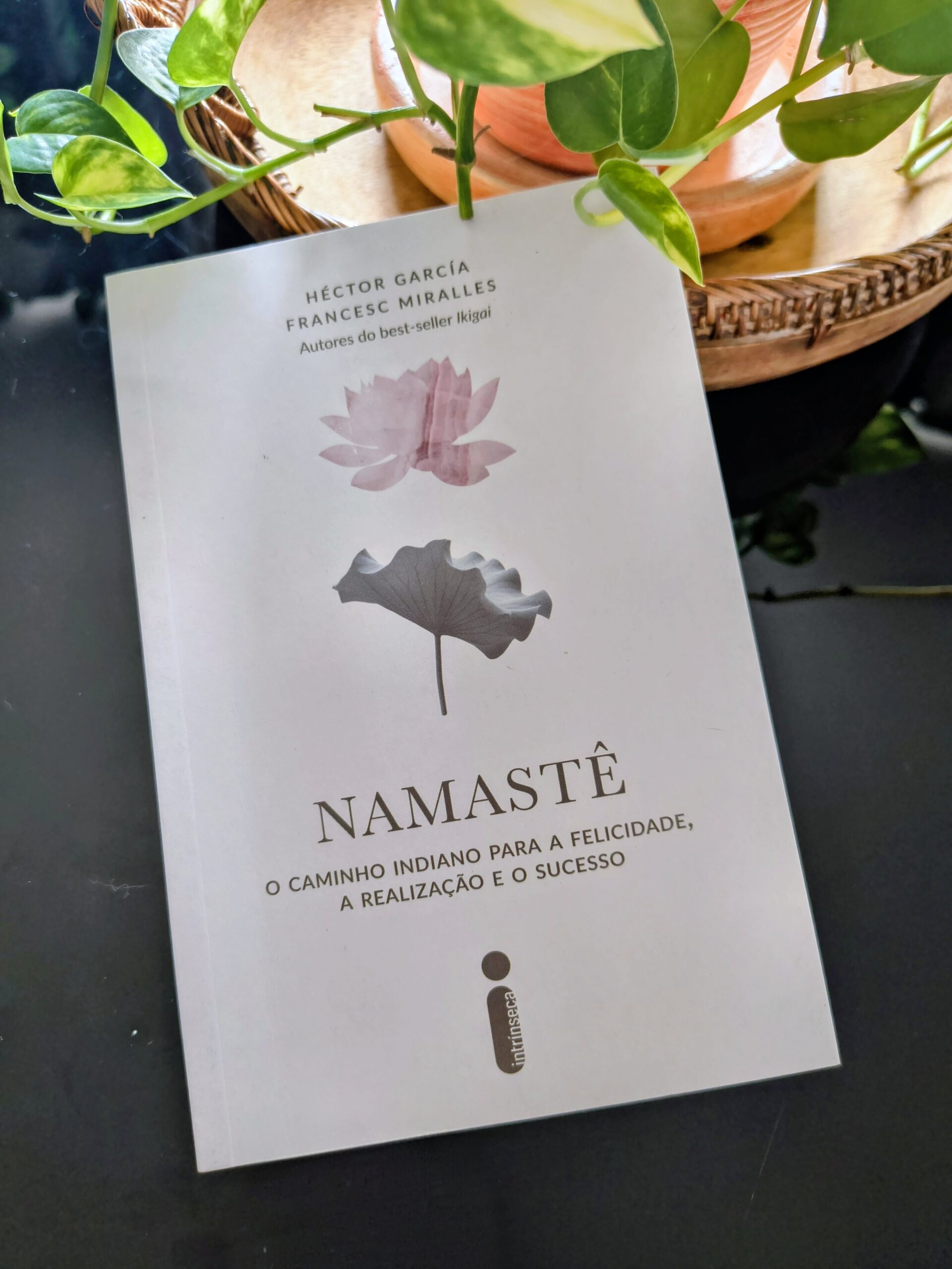 Livro Namastê: como a espiritualidade pode transformar o cotidiano