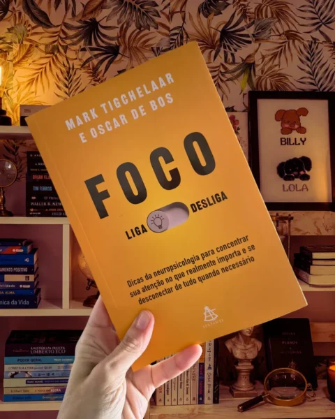 Resenha Livro Foco Liga-Desliga