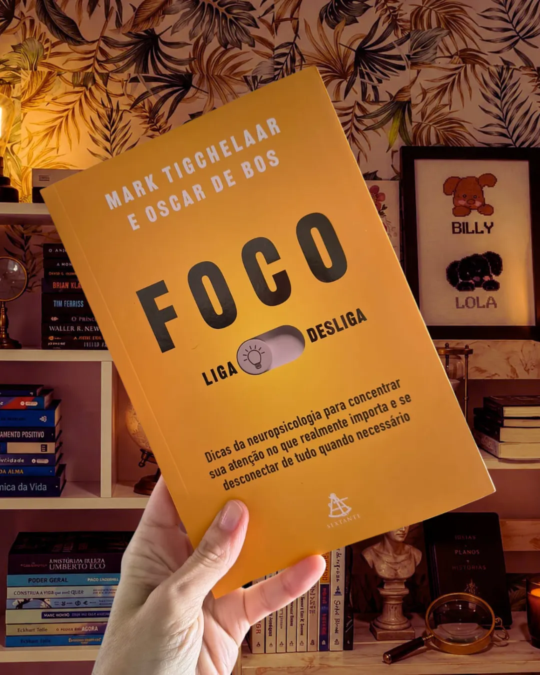 Resenha Livro Foco Liga-Desliga, de Mark Tigchelaar e Oscar de Bos